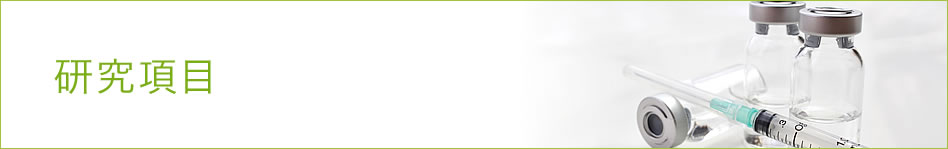 研究項目